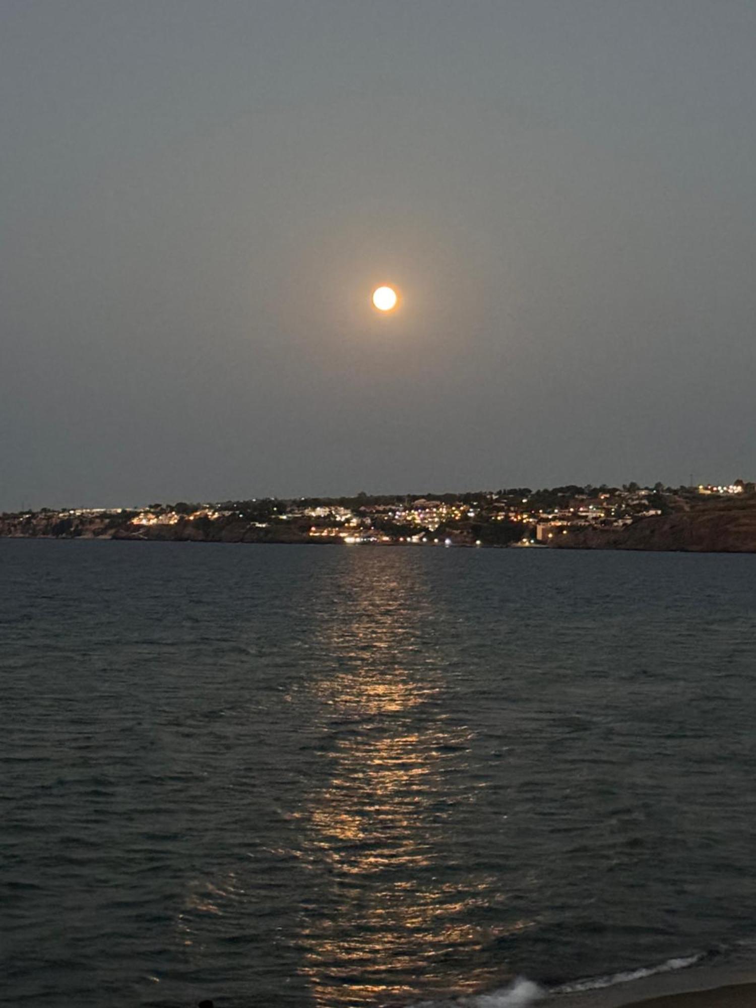 אגנונה באגני Paradiso Fronte Mare מראה חיצוני תמונה